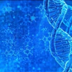 Do You Really Need 10,000 Steps a Day? The Truth About Walking