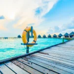 Fuel Like a Pro: The Ultimate Post-Workout Recovery Bowl