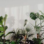 The American’s Guide to Being a Digital Nomad in 2026