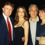 Best Free AI Tools for Small Businesses in the USA