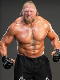wwe brock lesnar